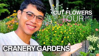 July Cut Flower Garden Tour 2023, Full Details