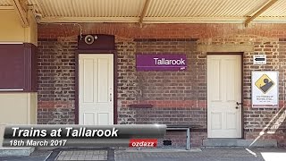 Trains at Tallarook 18th March 2017