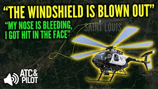 POLICE HELICOPTER struck a bird that went through the pilot's windscreen