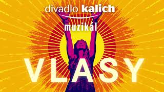 Divadlo Kalich - muzikál Vlasy