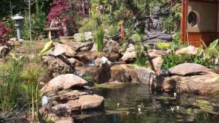 Japanese themed landscape Koi pond