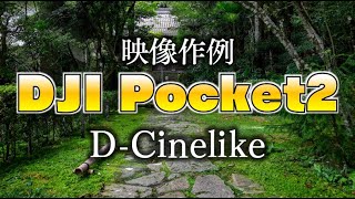 【DJI Pocket2】D-cinelike+Cololr grading