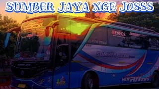 NGOYOD BUS SUMBER JAYA TRANS || BALIK MALAM LARINYA NGE JOSSS