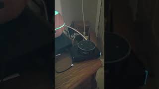 I asked Alexa who was gonna win the Superbowl and this was her response...😃 #FlyEaglesFly #Birdgang