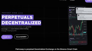 An Explainer Video on How To Trade on Palmswap Exchange