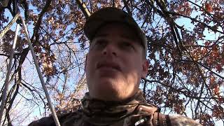 Putting Deer Down During 2024 Wisconsin Archery Season