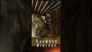 Biology of the Drowner (The Witcher)