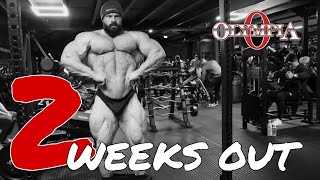 2 weeks out - The Mr Olympia update