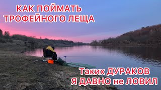 ЛЕЩ ПОШЁЛ / ТАКИЕ ТРОФЕЙ давно НЕ ПОПАДАЛИСЬ/ РЫБАЛКА НА РЕКЕ НОЧЬЮ