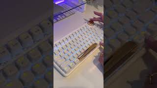 Unboxing my AZIO IZO Keyboard