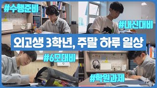 고3 외고생의 주말 하루 일상 (6모 대비, 수행 준비, 내신 대비, 과외, 학원, 혼공 일상 브이로그) 마이린 TV