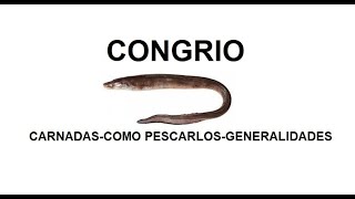 Especies Argentinas : CONGRIO carnadas-como pescarlos-generalidades