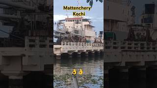 Mattenchery jetty kochi view! #shorts #ytshorts #kochi #sea