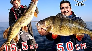 Epic Fishing - XXL Hechte & XXL Barsche - Krasses angeln mit Uli Beyers Ködern