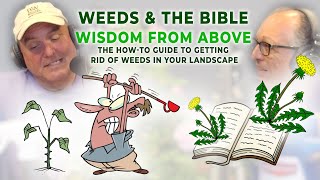 Weeds & The Bible | Wisdom from Above | The How-To Guide to Getting Rid of Weeds in your Landscape