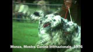 Monza,Mostra Canina Internazionale 1976