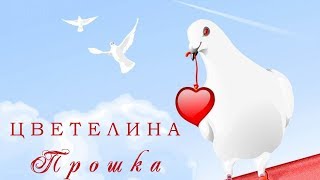 Цветелина - Прошка / Tzvetelina - Proshka