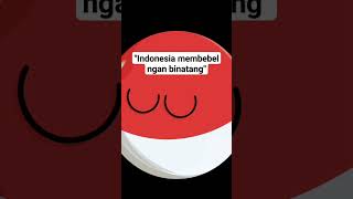 bagogo Indonesia #countryballs #memes