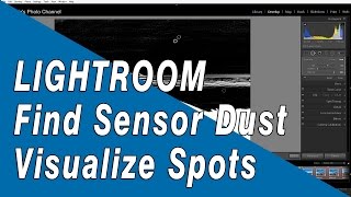 Lightroom Tip: Using Visualize Spots Tool to Find Sensor Dust