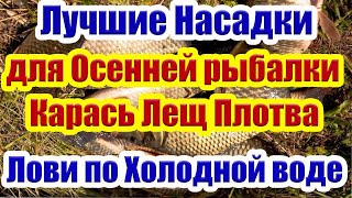 Насадка на карася по Холодной воде Насадка на карася карп лещ плотва Супер рыболовная насадка