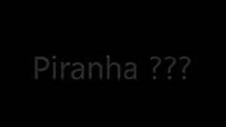 PIRANHAS COME PARTE DO DEDO DO PESCADOR.