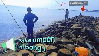 Ikan kiper seliweran di pinggiran