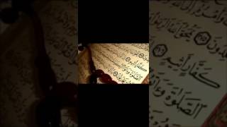 Surah Yaseen full