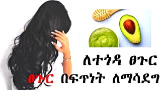 ለፈጣን የፀጉር እድገት በተፈጥሮአዊ መንገድ |የተመሰከረለት| ለሚነቃቀል እና ለፎሮፎር remedy 4 hair growth prepared from avocado