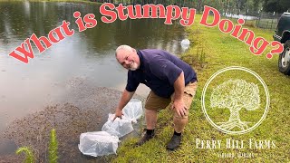 Stocking the Pond: FOOD FOR THE FARM