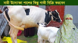 নারী উদ্যোক্তা পালের কিছু গাভী বিক্রি করবেন dairy farm