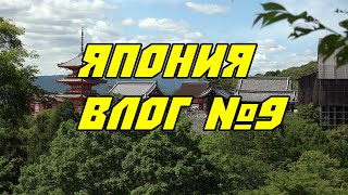 Влог DreamRoad Япония №9