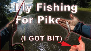 I GOT BIT...Fly Fishing a Creek for Pike (NEW PB)