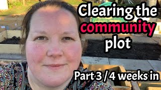 Clearing the Community Plot: 4 weeks in: The structure is nearly complete!