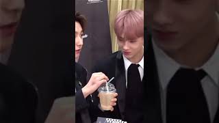 renjun let jisung drink it lmao