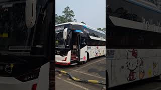 KYM Trans Sleeper Termurah #kymtrans #sleeperbus #poris