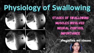 211.Physiology of Swallowing #Deglutition #swallowing #anatomy_physiology