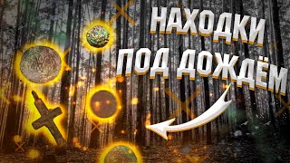 находки с металлоискателем xp orx под дождем