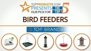 Best Bird Feeder Reviews  – How to Choose the Best Bird Feeder