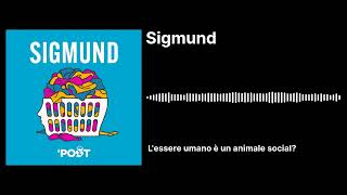 L'essere umano è un animale social? | Sigmund