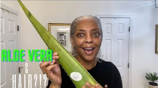 HAIR | ALOE VERA & HAIR?!?