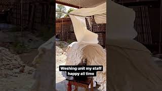 Fabric Washing Unit Happy Worker is key of Success of Every Business 💯😍 #firstprocess #blockprint yt