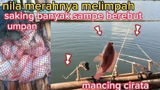 mancing cirata//spot yang bikin betah!!ikanya gampang dipancing