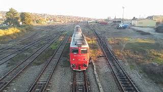 Trenul Regio Oradea  Valea lui Mihai cu DA tricolor 🇷🇴