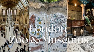 The World's Oldest Scientific Zoo, London Zoo & Must Visit Beautiful Museums in London| London Vlog