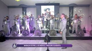 Procuro Olvidarte  Mariachi Estrella de Mexico