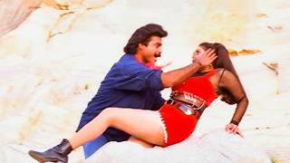 Naatu Kodi Pettoyamma Video Song | Sarada Bullodu Movie | Venkatesh , Nagma | Volga Music Box