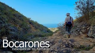 Los BOCARONES. ESTANQUES de los ALEMANES (agosto 2021) #GranCanaria #Bocarones #Arucas