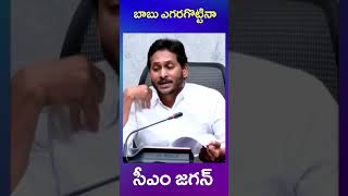 ys jagan | tdp