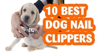 10 Best Dog Nail Clippers