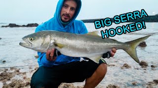 Fishing, spinning Inshore FUERTEVENTURA - Betackle Saltwater - Big Serra *Canarie